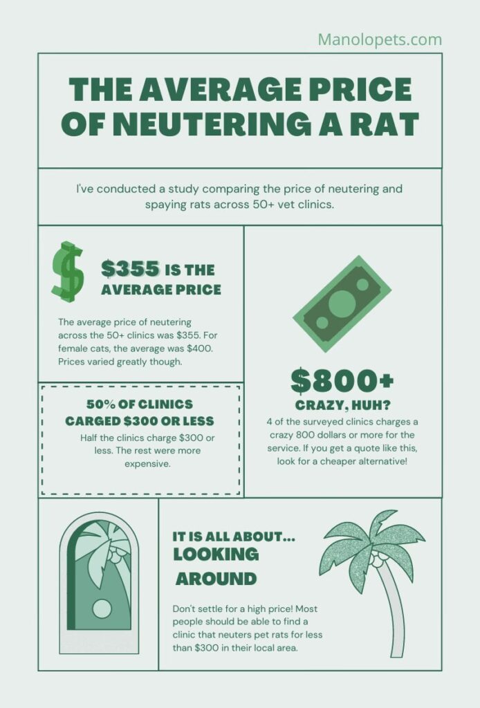 Infographic on price of neutering rats